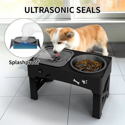 3-in-1 Adjustable Pet Feeder –Slow Feed & Foldable Bowl Adjustable Height Suitable For Pets Of Different Heights - Paw Care USA