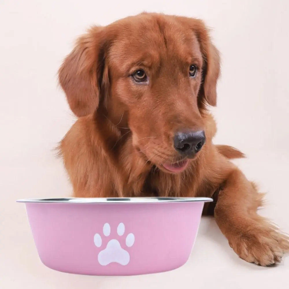Large Stainless Steel Non-Slip Dog Bowl Pet Feeder with Cute Paw Design for Cats & Dogs - Paw Care USA
