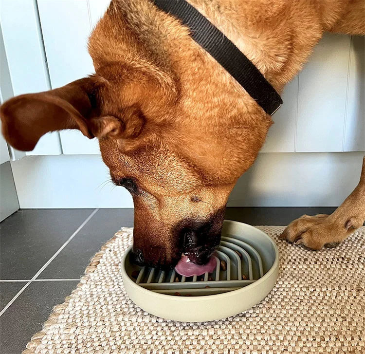 Anti-Slip Slow Feeder Bowl – Anti-Knockover Silicone Food Plate for Cats & Puppies - Paw Care USA