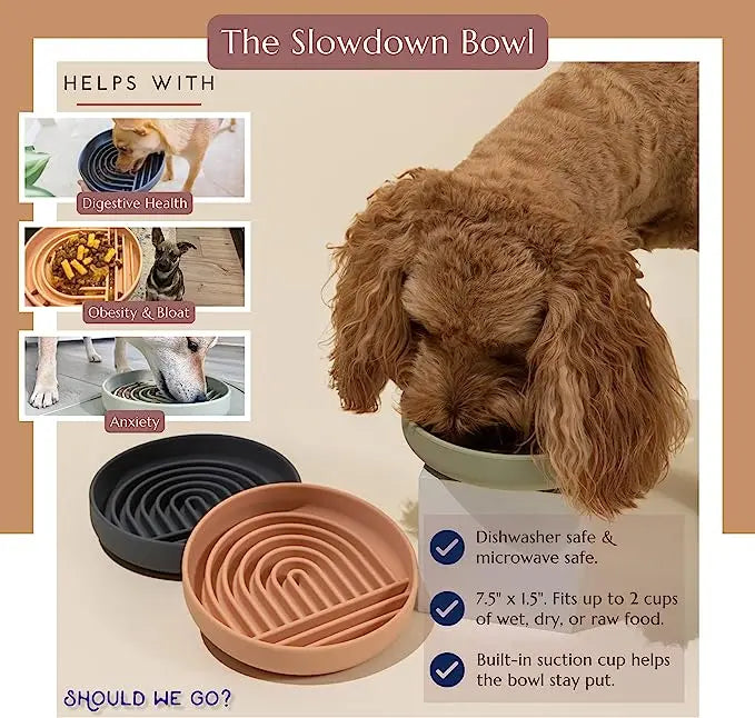 Anti-Slip Slow Feeder Bowl – Anti-Knockover Silicone Food Plate for Cats & Puppies - Paw Care USA