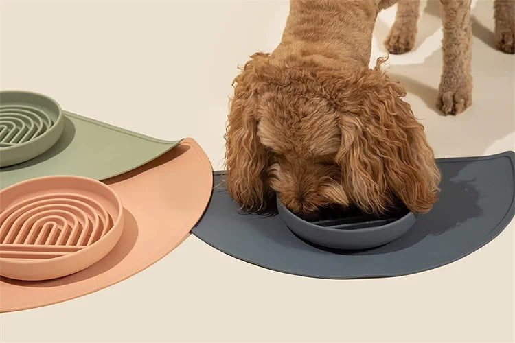 Anti-Slip Slow Feeder Bowl – Anti-Knockover Silicone Food Plate for Cats & Puppies - Paw Care USA