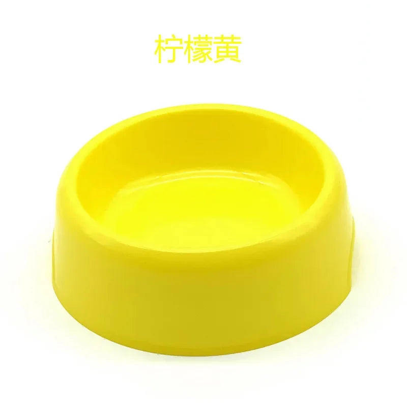 Food & Water Dish for Cats & Small Dogs Bowl - Paw Care USA