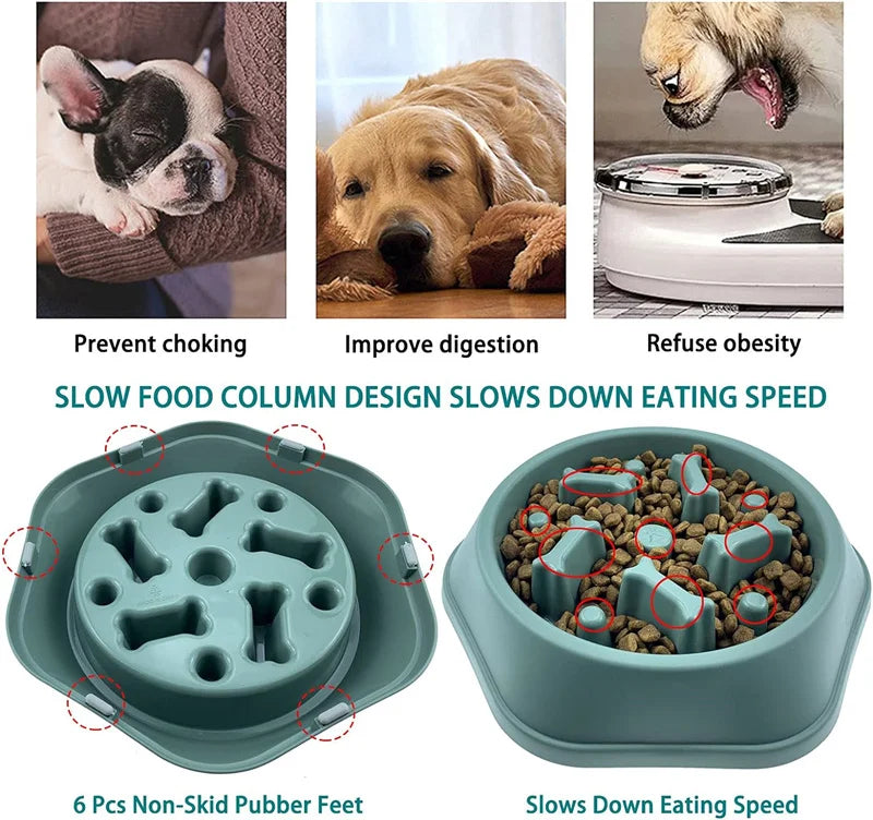 Anti-Choking Slow Feeder Dog Bowl Non-Slip Puzzle Dish for Small & Medium Dogs - Paw Care USA
