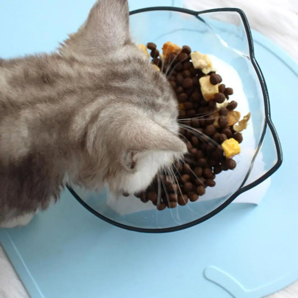 Tilted Cat Bowl Elevated Anti-Choking Feeder with Neck Support - Paw Care USA