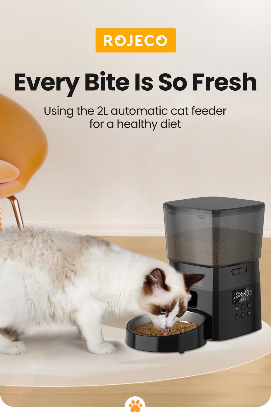 Automatic Cats Dog Pet Feeder Button Version Auto Food Dispenser Smart Control - Paw Care USA