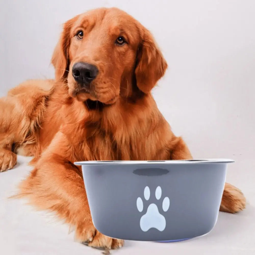 Large Stainless Steel Non-Slip Dog Bowl Pet Feeder with Cute Paw Design for Cats & Dogs - Paw Care USA