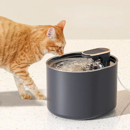 3L Ultra Silent Pet Water Fountain – LED Light, USB Powered, Automatic Drinking Dispenser for Cats & Dogs - Paw Care USA