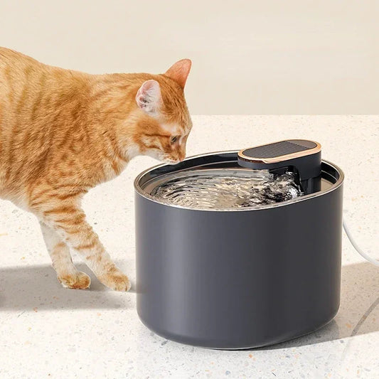 3L Ultra Silent Pet Water Fountain – LED Light, USB Powered, Automatic Drinking Dispenser for Cats & Dogs - Paw Care USA
