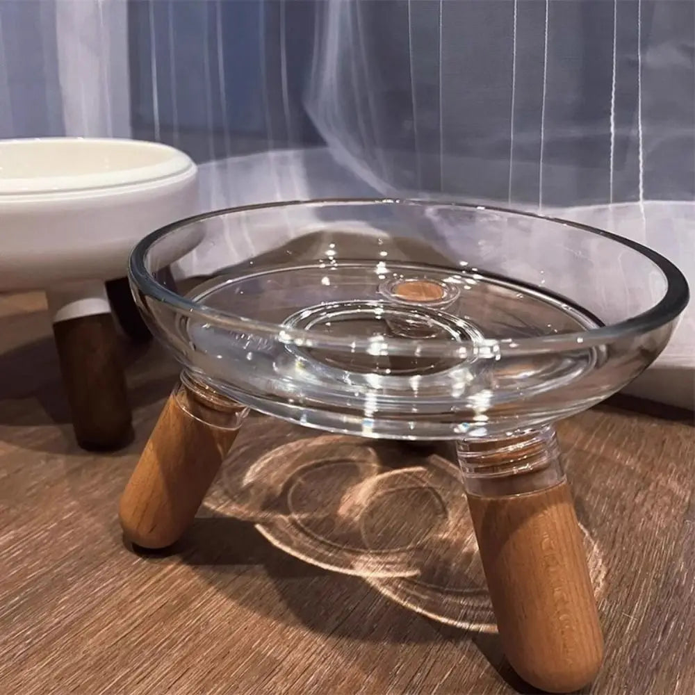 Protect Neck Elevated Cat Bowl Transparent Raised Pet Food - Paw Care USA