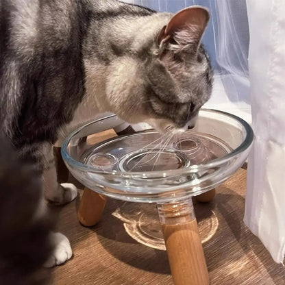 Protect Neck Elevated Cat Bowl Transparent Raised Pet Food - Paw Care USA