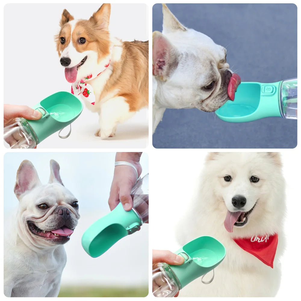 Portable Dog & Cat Water Bottle For Small Large Dogs Cat Outdoor Leakproof Walking Drinking Bowls Pet Supplies - Paw Care USA