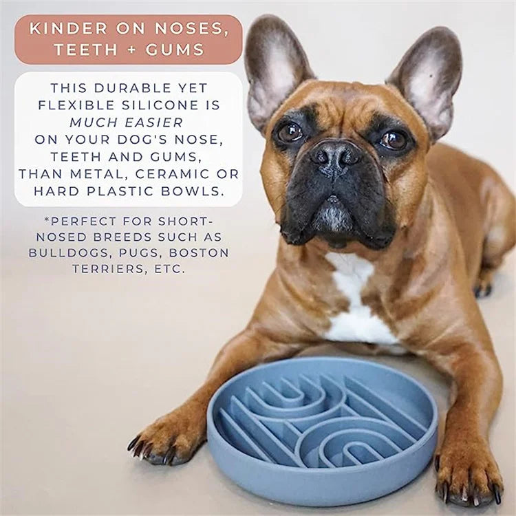 Anti-Slip Slow Feeder Bowl – Anti-Knockover Silicone Food Plate for Cats & Puppies - Paw Care USA
