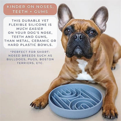 Anti-Slip Slow Feeder Bowl – Anti-Knockover Silicone Food Plate for Cats & Puppies - Paw Care USA