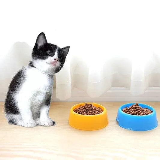 Food & Water Dish for Cats & Small Dogs Bowl - Paw Care USA