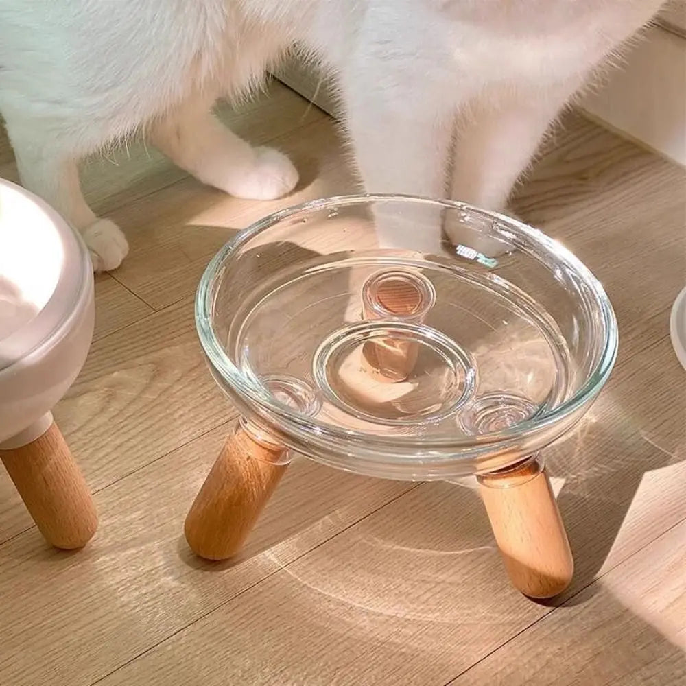 Protect Neck Elevated Cat Bowl Transparent Raised Pet Food - Paw Care USA