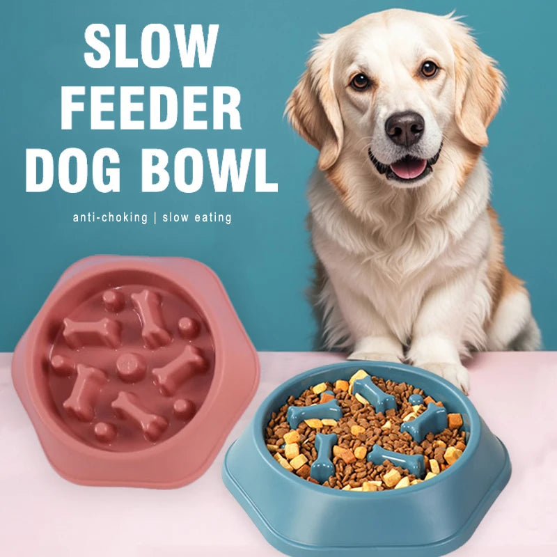 Anti-Choking Slow Feeder Dog Bowl Non-Slip Puzzle Dish for Small & Medium Dogs - Paw Care USA
