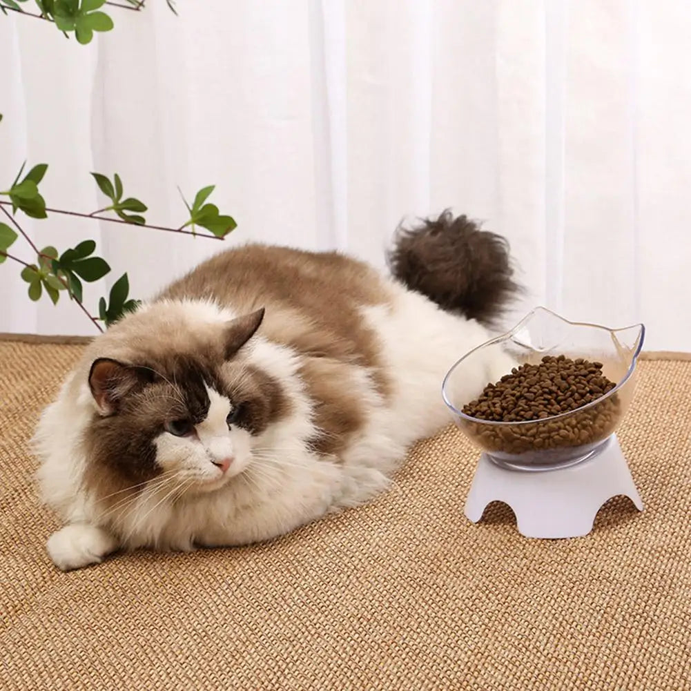 Tilted Cat Bowl Elevated Anti-Choking Feeder with Neck Support - Paw Care USA