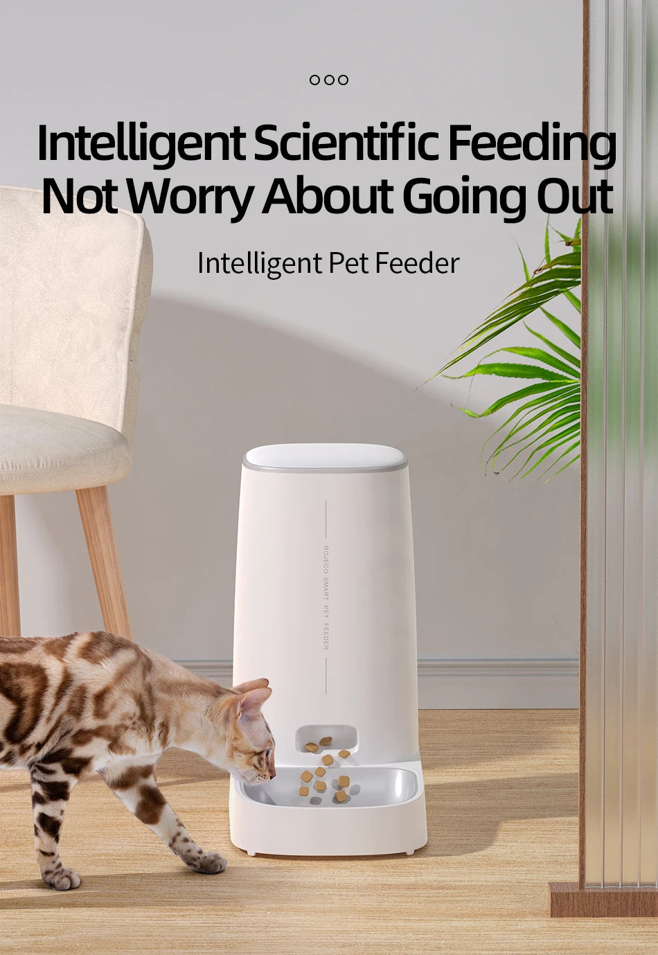 Automatic Dog Cat Feeder Pet Dispenser Remote Control Auto Feeder - Paw Care USA
