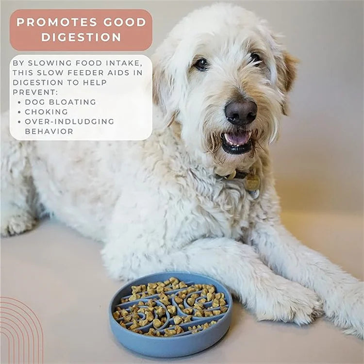 Anti-Slip Slow Feeder Bowl – Anti-Knockover Silicone Food Plate for Cats & Puppies - Paw Care USA