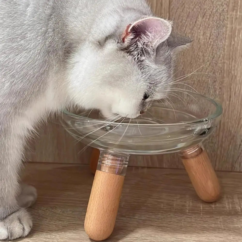 Protect Neck Elevated Cat Bowl Transparent Raised Pet Food - Paw Care USA