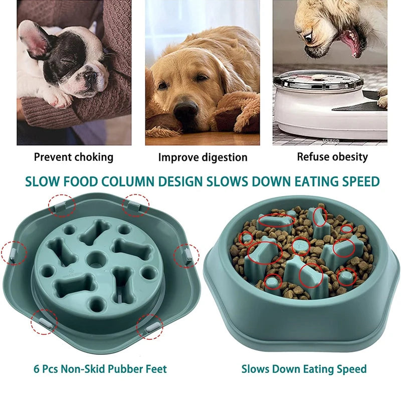 Anti-Choking Slow Feeder Dog Bowl Non-Slip Puzzle Dish for Small & Medium Dogs - Paw Care USA