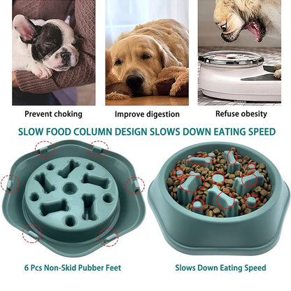 Anti-Choking Slow Feeder Dog Bowl Non-Slip Puzzle Dish for Small & Medium Dogs - Paw Care USA
