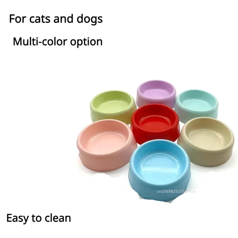 Food & Water Dish for Cats & Small Dogs Bowl - Paw Care USA