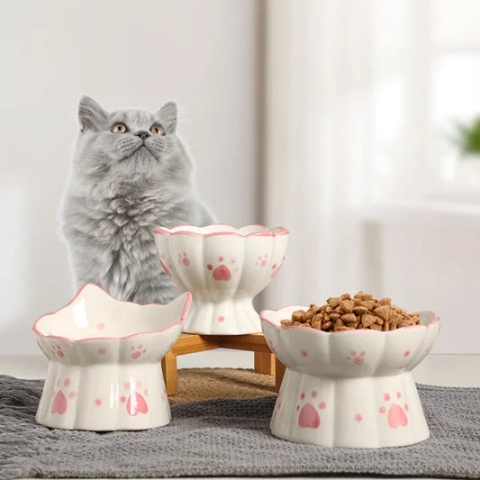 Ceramic Cat Bowl Elevated Feeder for Small Pets & Puppies - Paw Care USA