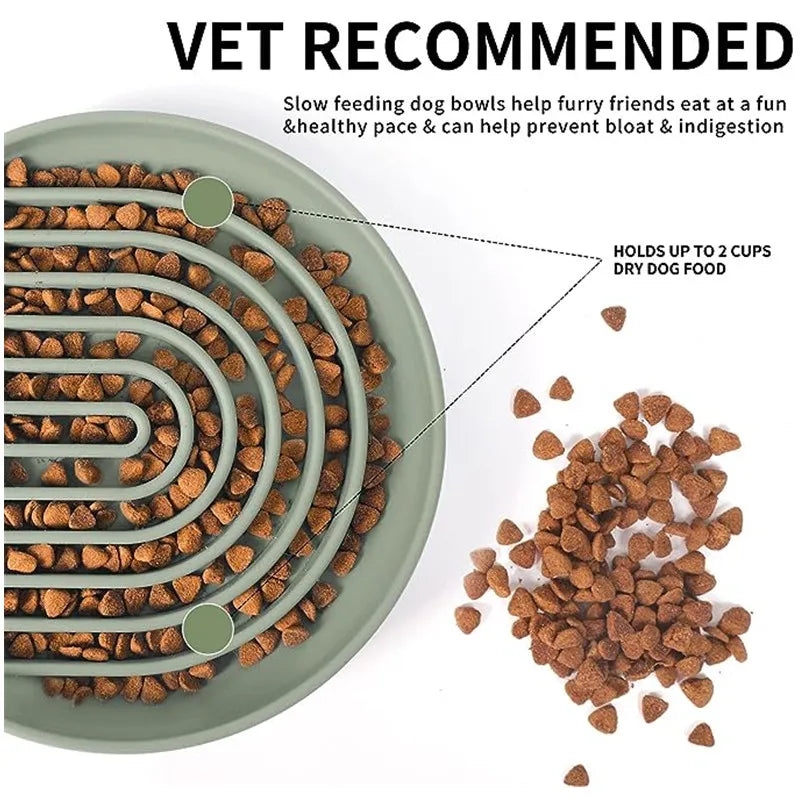 Anti-Slip Slow Feeder Bowl – Anti-Knockover Silicone Food Plate for Cats & Puppies - Paw Care USA
