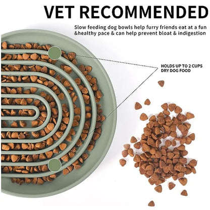 Anti-Slip Slow Feeder Bowl – Anti-Knockover Silicone Food Plate for Cats & Puppies - Paw Care USA
