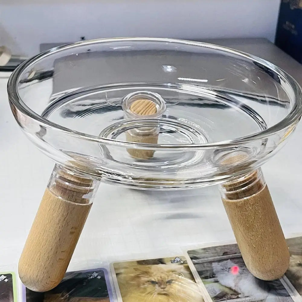 Protect Neck Elevated Cat Bowl Transparent Raised Pet Food - Paw Care USA