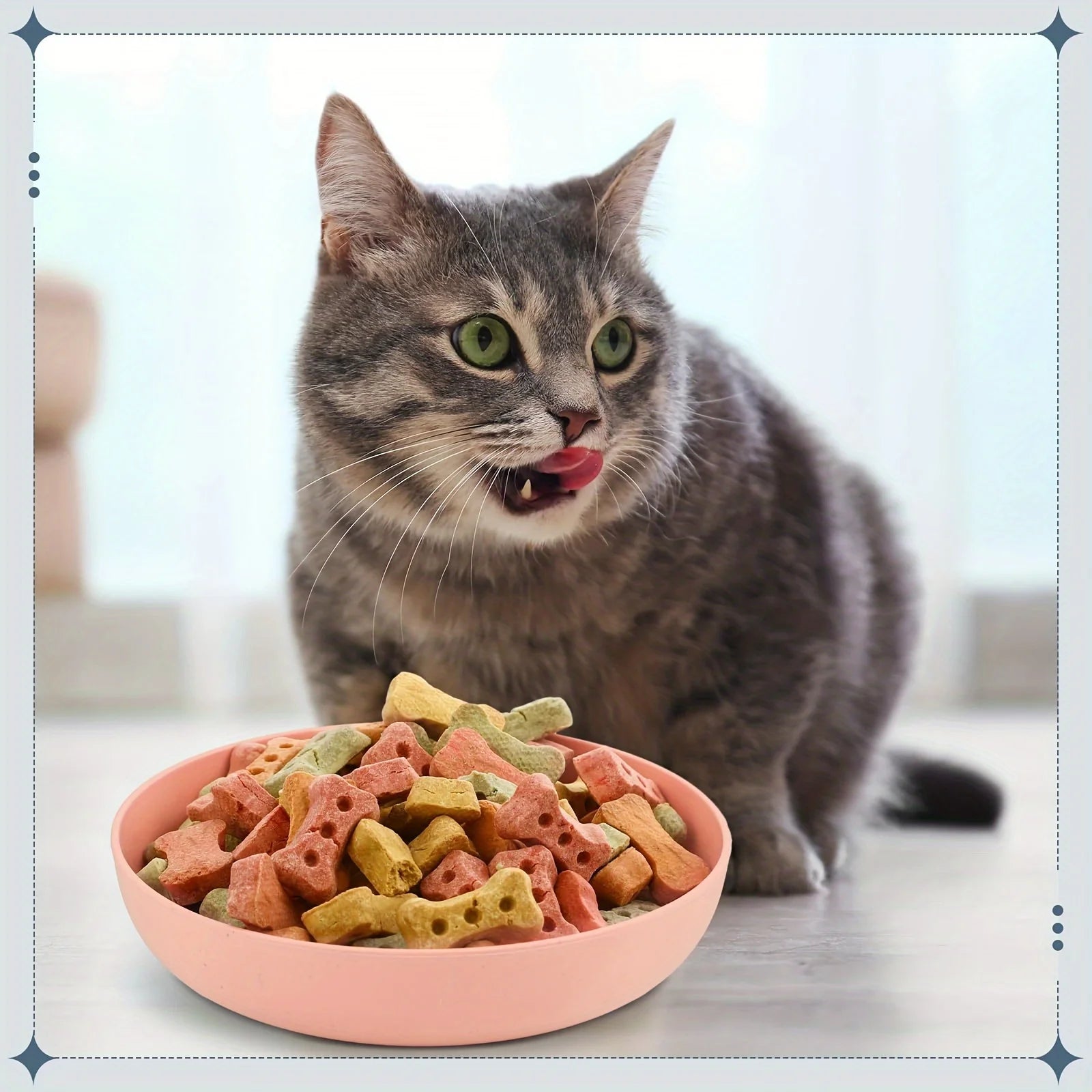 4pcs Non-Slip Cat Bowls – Wide Shallow Food & Water Dishes for Kittens & Small Cats - Paw Care USA