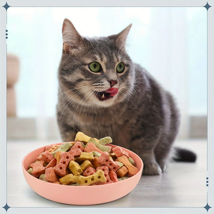 4pcs Non-Slip Cat Bowls – Wide Shallow Food & Water Dishes for Kittens & Small Cats - Paw Care USA