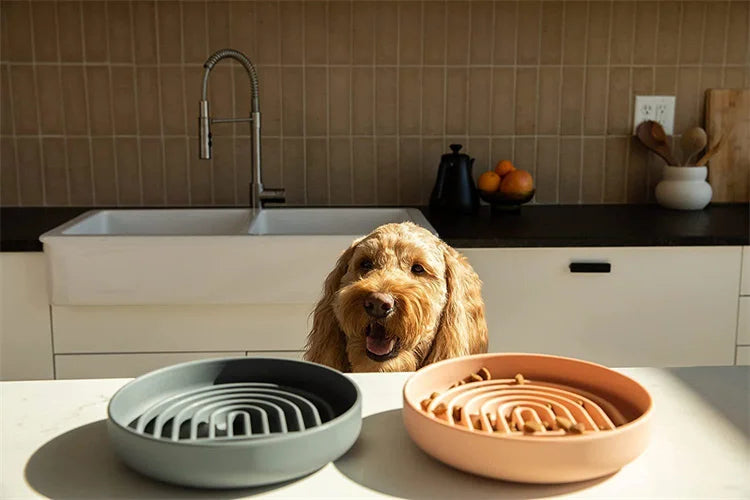 Anti-Slip Slow Feeder Bowl – Anti-Knockover Silicone Food Plate for Cats & Puppies - Paw Care USA