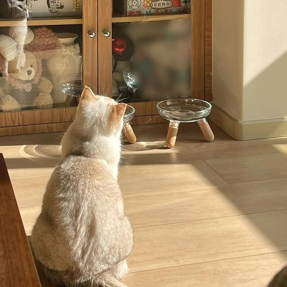 Protect Neck Elevated Cat Bowl Transparent Raised Pet Food - Paw Care USA