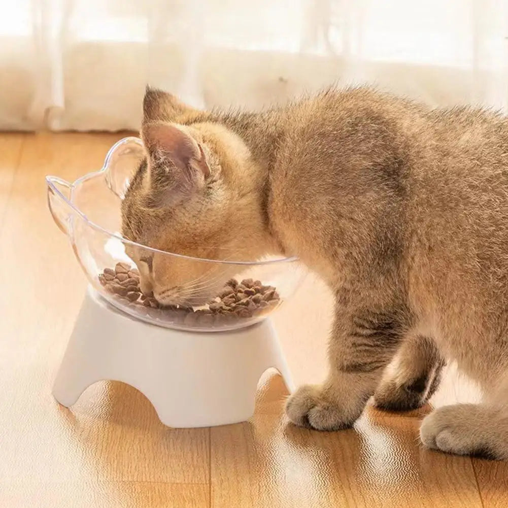 Tilted Cat Bowl Elevated Anti-Choking Feeder with Neck Support - Paw Care USA
