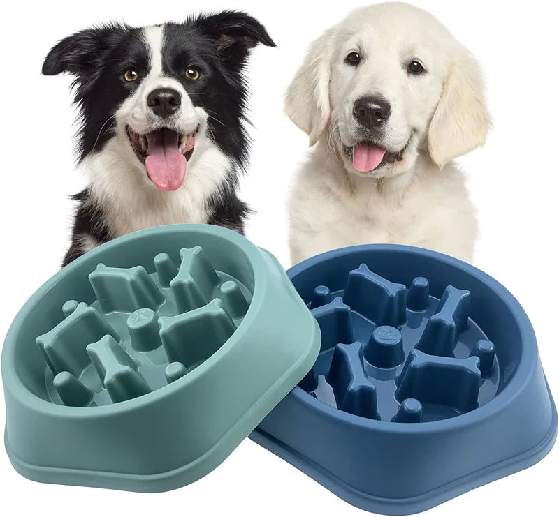 Anti-Choking Slow Feeder Dog Bowl Non-Slip Puzzle Dish for Small & Medium Dogs - Paw Care USA
