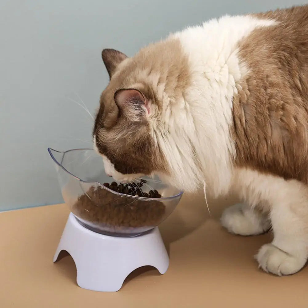 Tilted Cat Bowl Elevated Anti-Choking Feeder with Neck Support - Paw Care USA