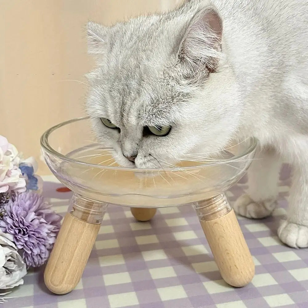 Protect Neck Elevated Cat Bowl Transparent Raised Pet Food - Paw Care USA