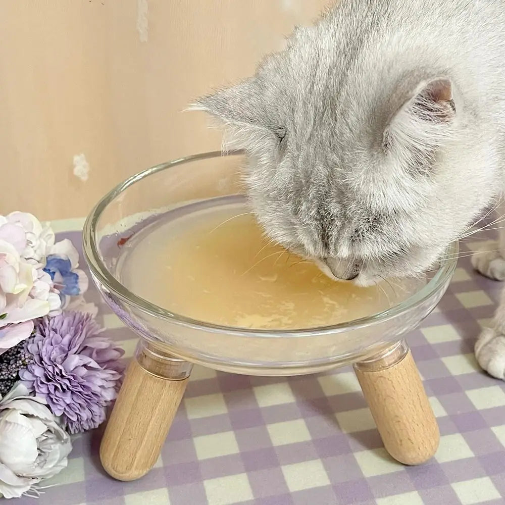 Protect Neck Elevated Cat Bowl Transparent Raised Pet Food - Paw Care USA