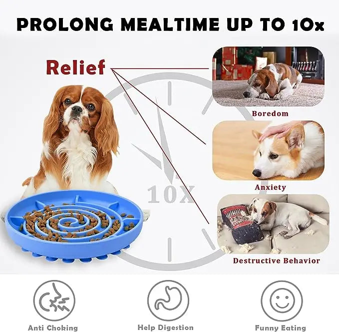 Anti-Slip Slow Feeder Bowl – Anti-Knockover Silicone Food Plate for Cats & Puppies - Paw Care USA
